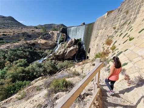 pantano de elche ruta|Ruta Pantano de Elche